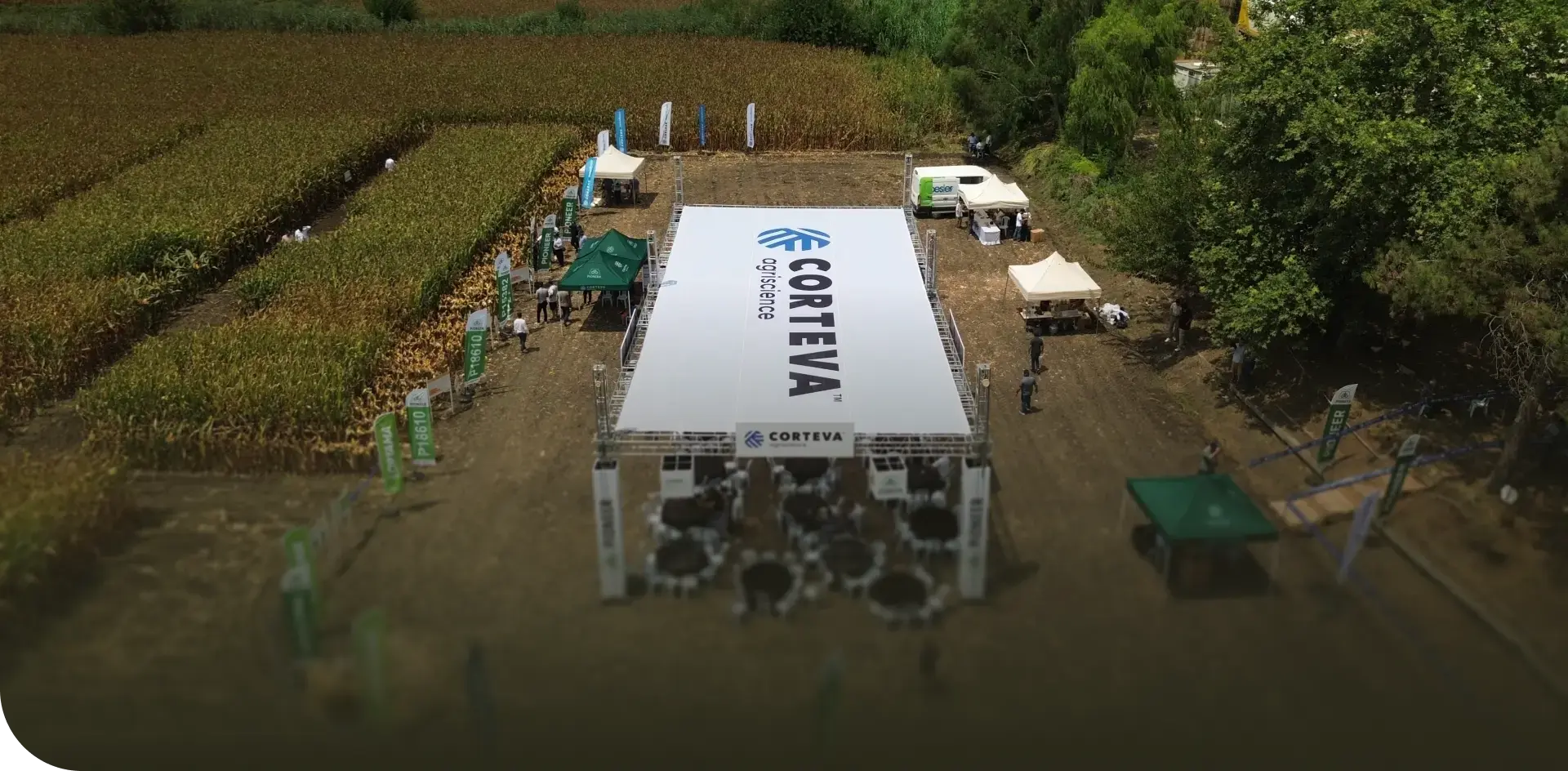 Özgün Stratejiler <br>ve Güçlü Konseptler.