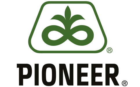 Pioneer